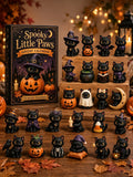 Black Cat Halloween Advent Calendar 2026 Blind Box